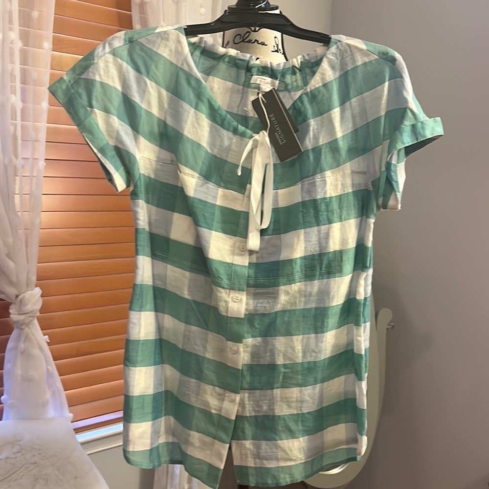 Green and white checkered blouse